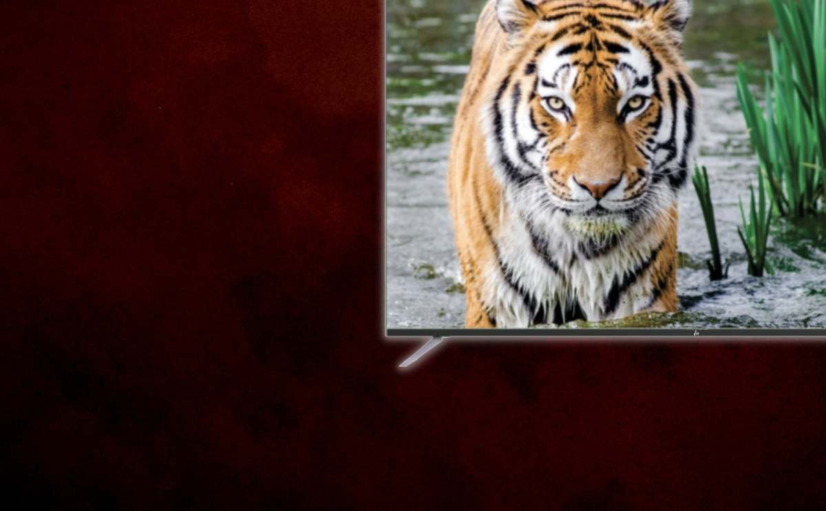 promo-banner-image
